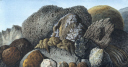 picture number:10306377 Title:Volcanic matter from Mount Vesuvius, c 1770 picture number:10306377 Title:Volcanic matter from Mount Vesuvius, c 1770